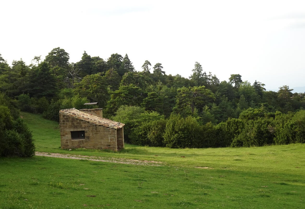 Coordinación durante el rodaje Construcción rural aislada junto a un bosque en Aragón, representativa del acompañamiento en rodaje, la coordinación local y la resolución de incidencias sobre el terreno.
